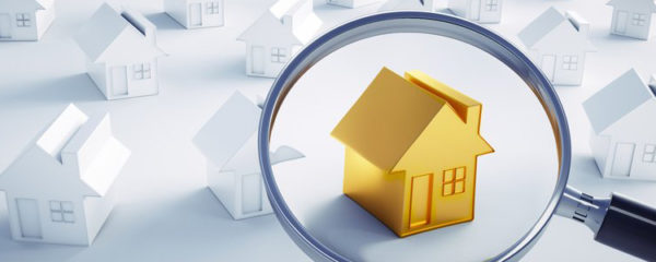 programme immobilier